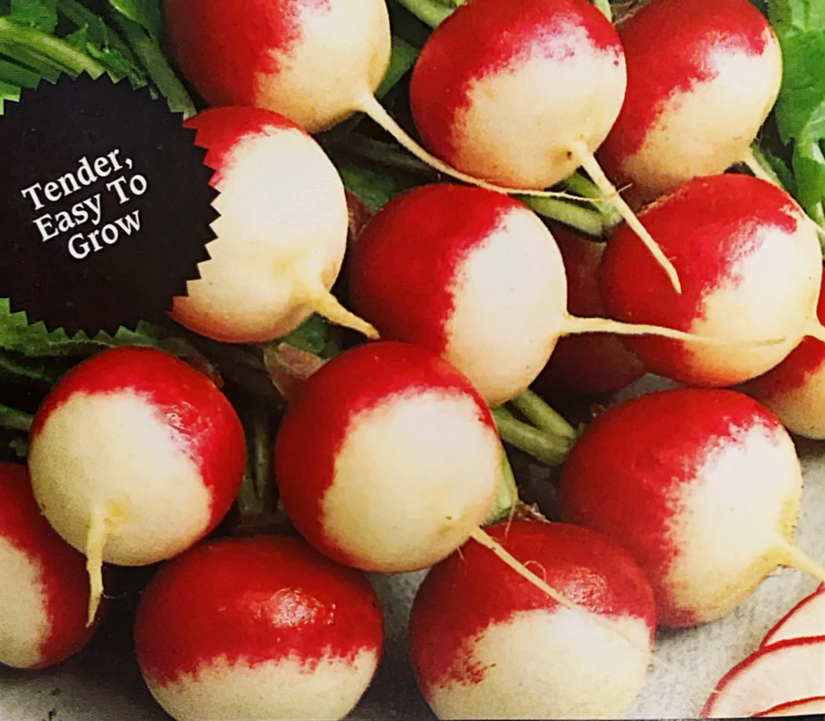 Radish | Sparkler - Image 3