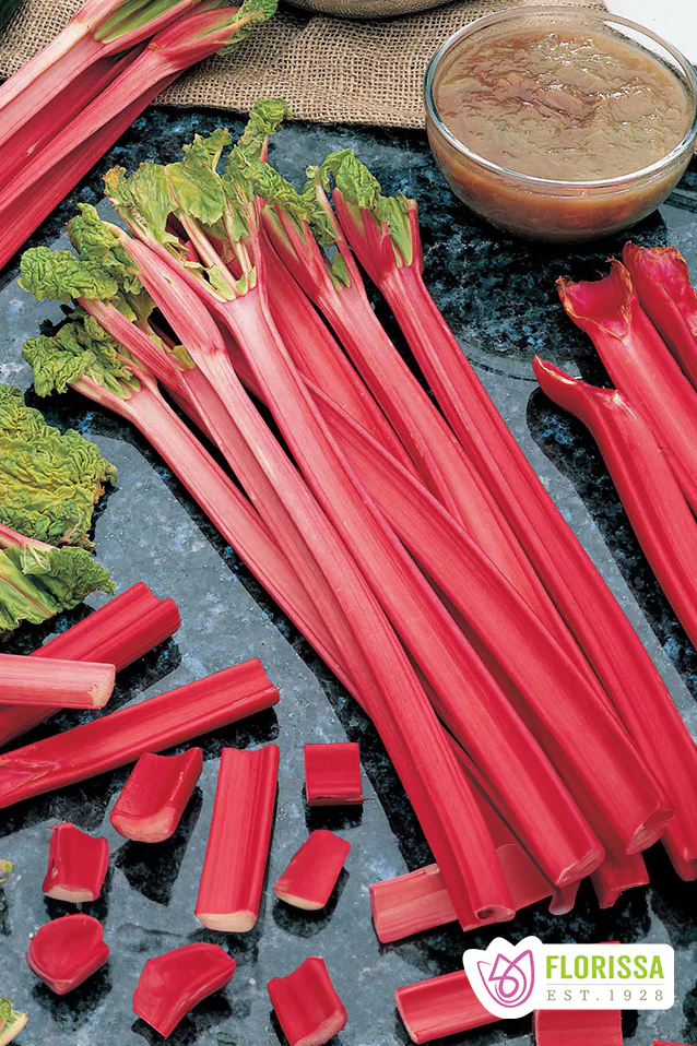 Rhubarb | Strawberry Red (Bare Root)