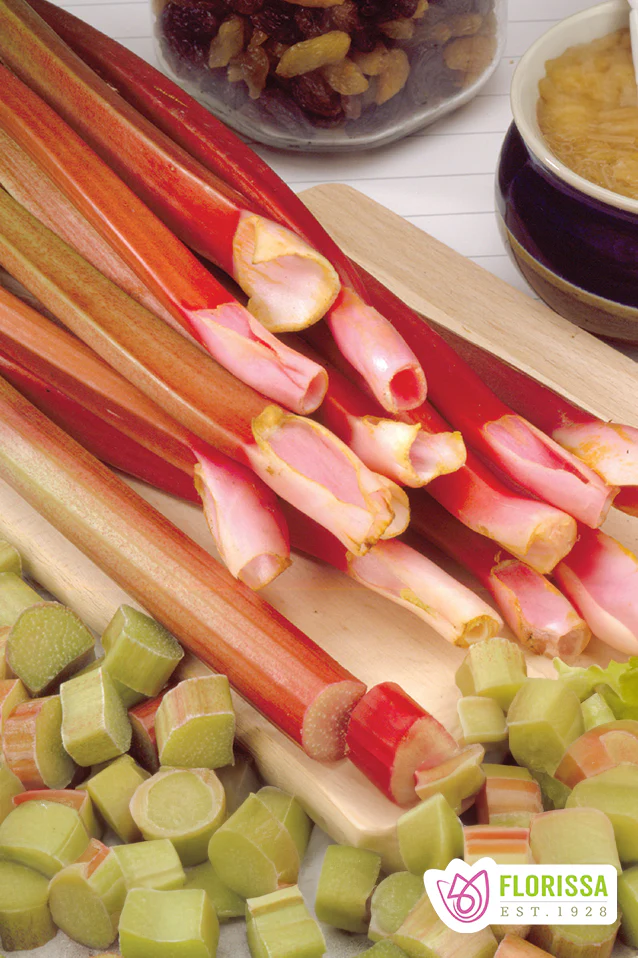 Rhubarb | Victoria (Bare Root)