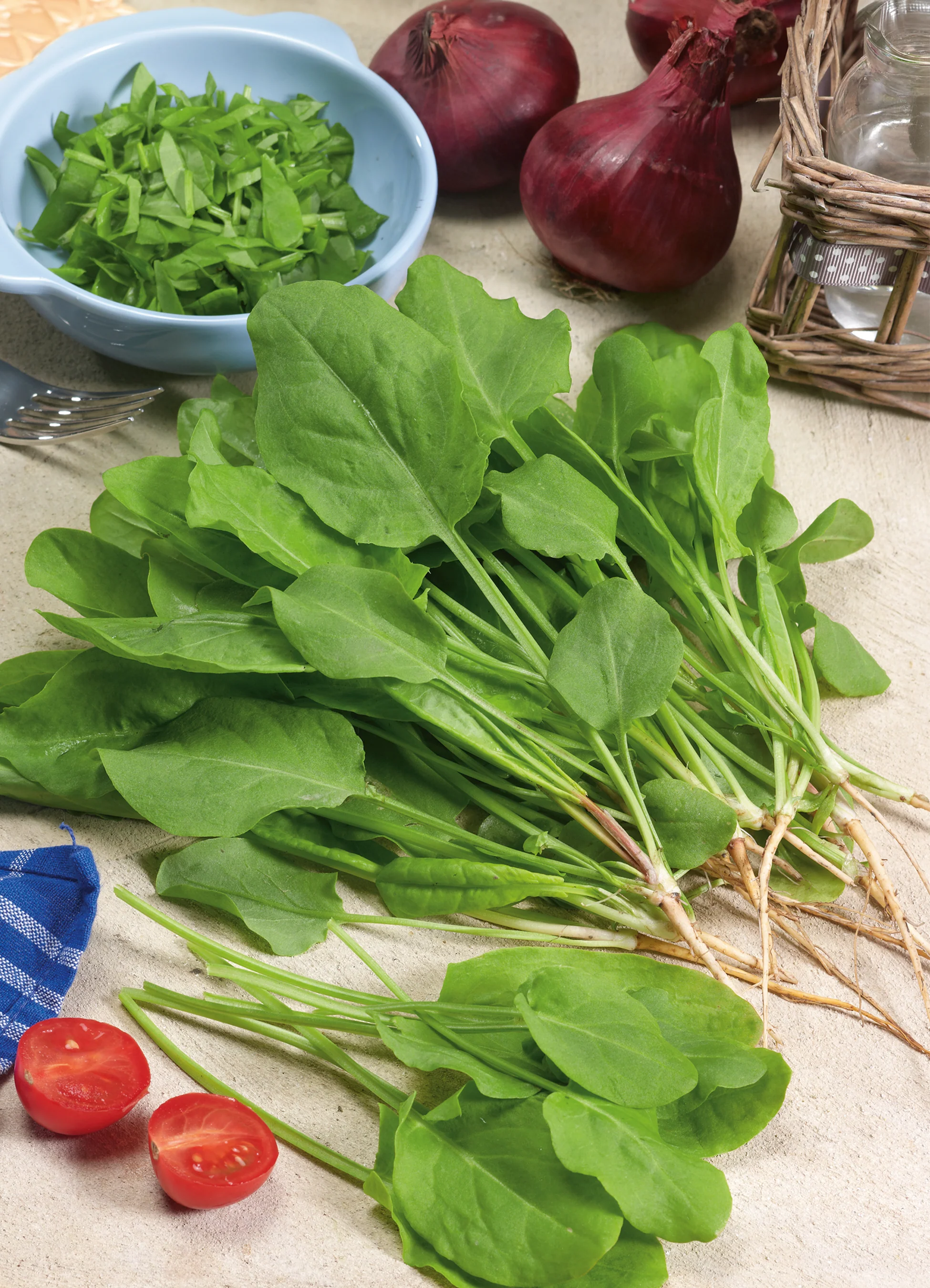 Sorrel | Common