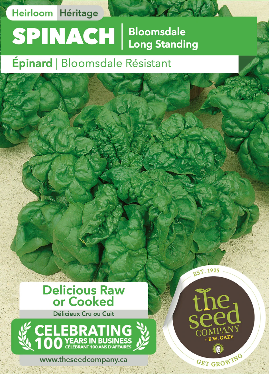 Spinach | Bloomsdale Long Standing - Image 2