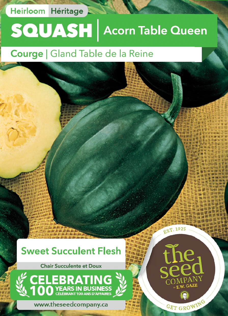 Squash | Acorn Table Queen - Image 2