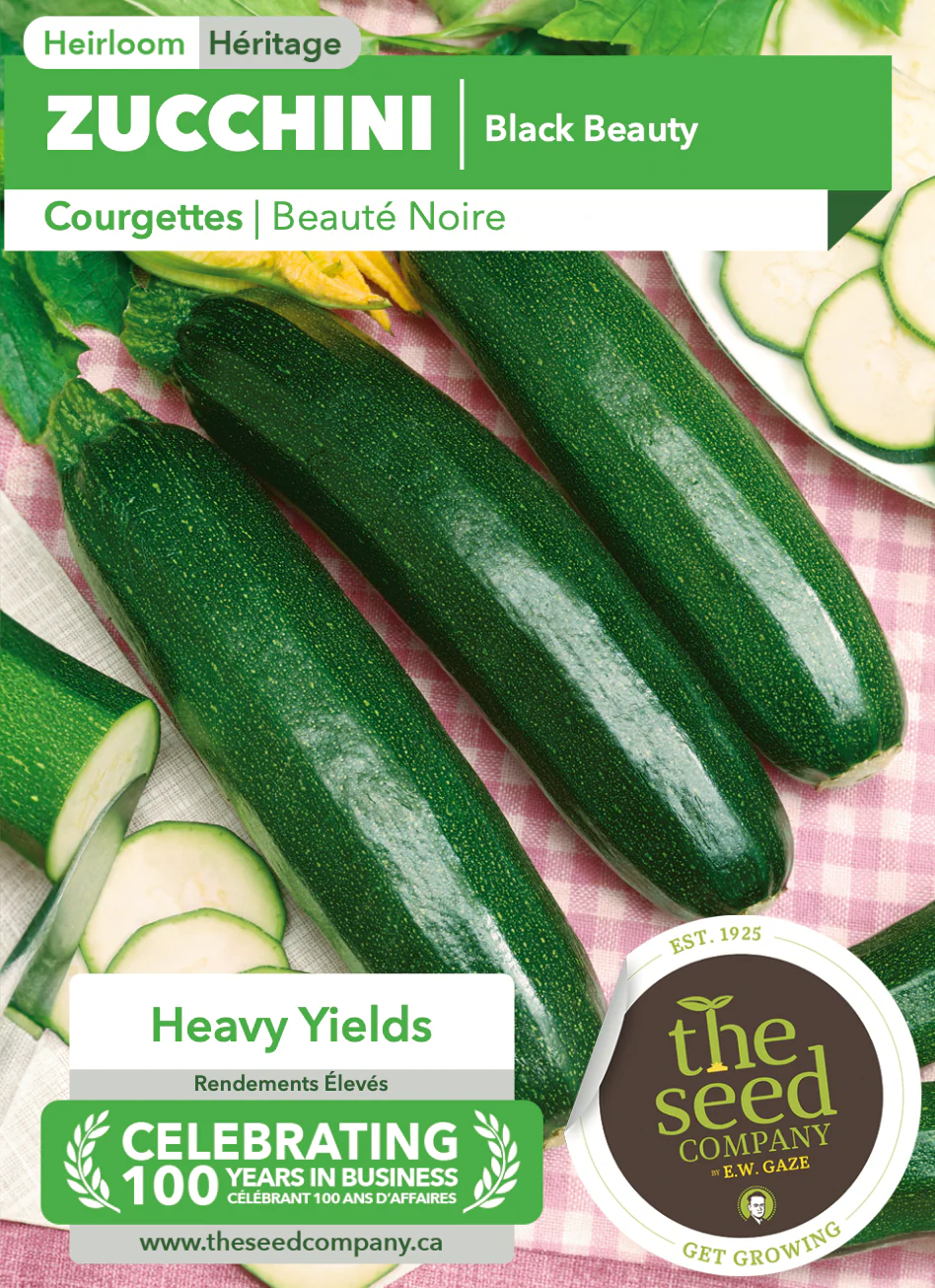 Zucchini | Black Beauty - Image 2