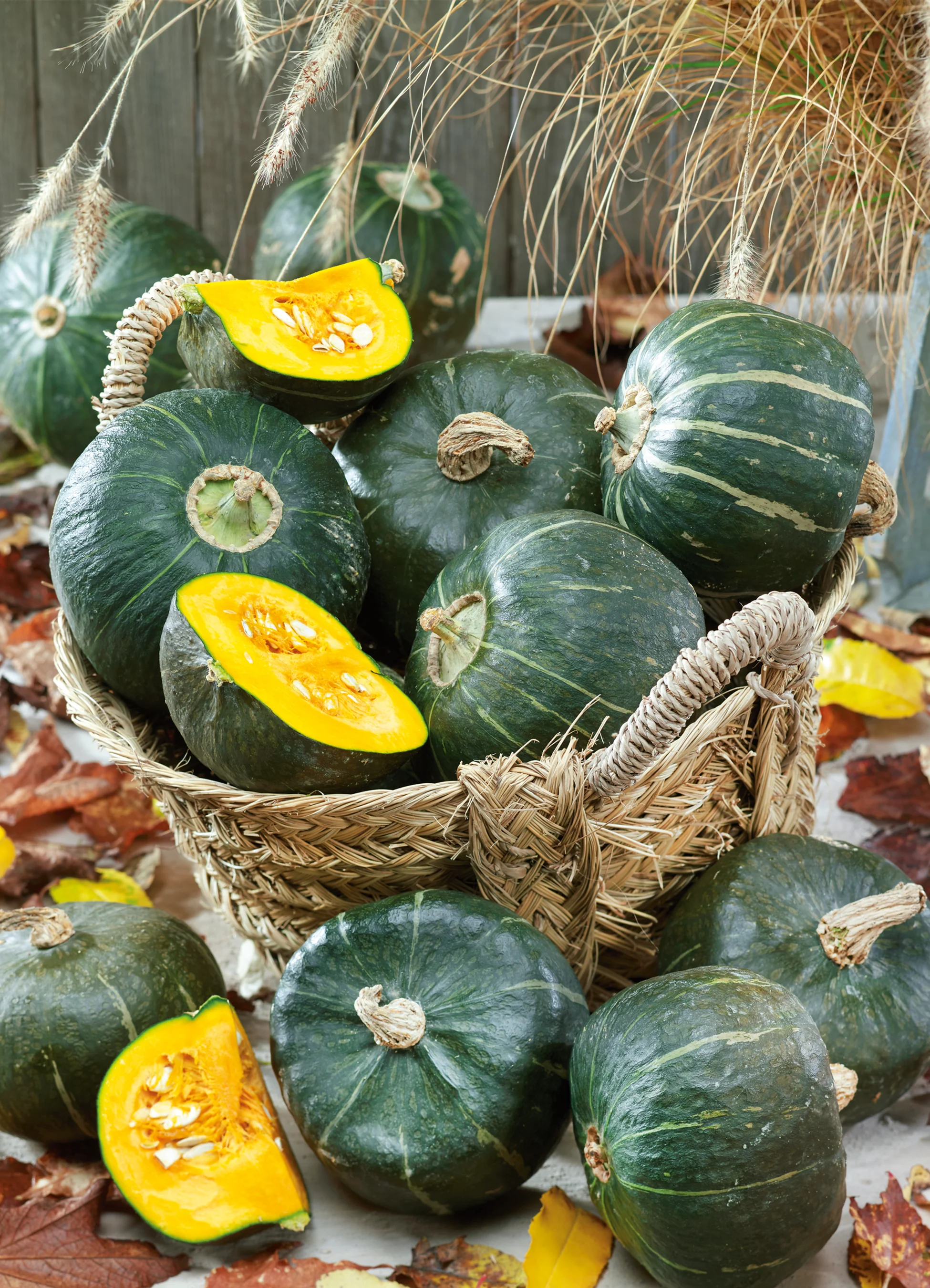 Squash | Buttercup