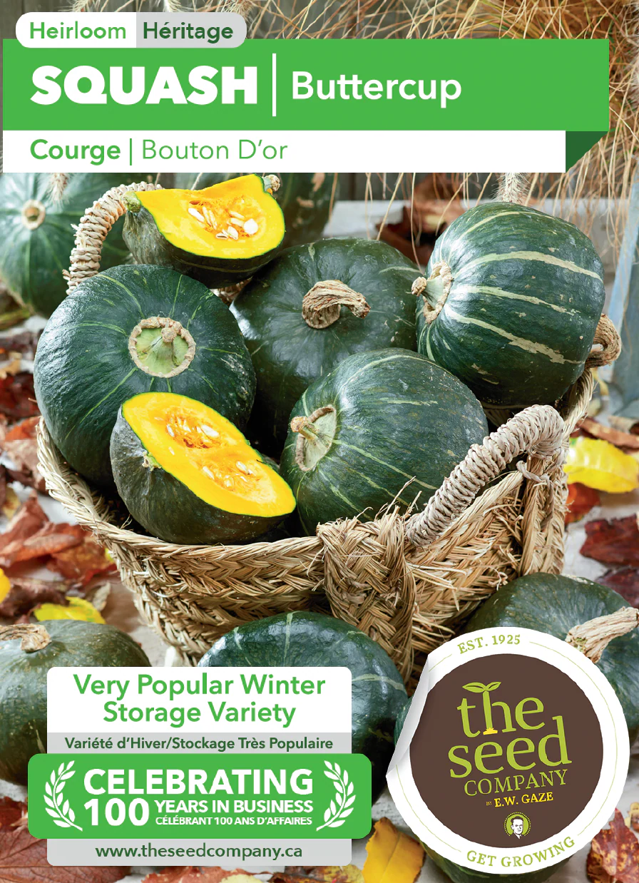 Squash | Buttercup - Image 2