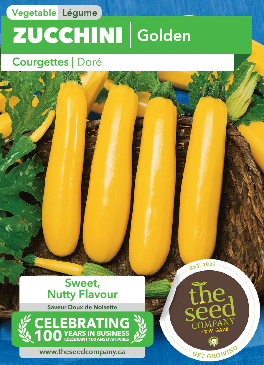 Zucchini | Golden - Image 2