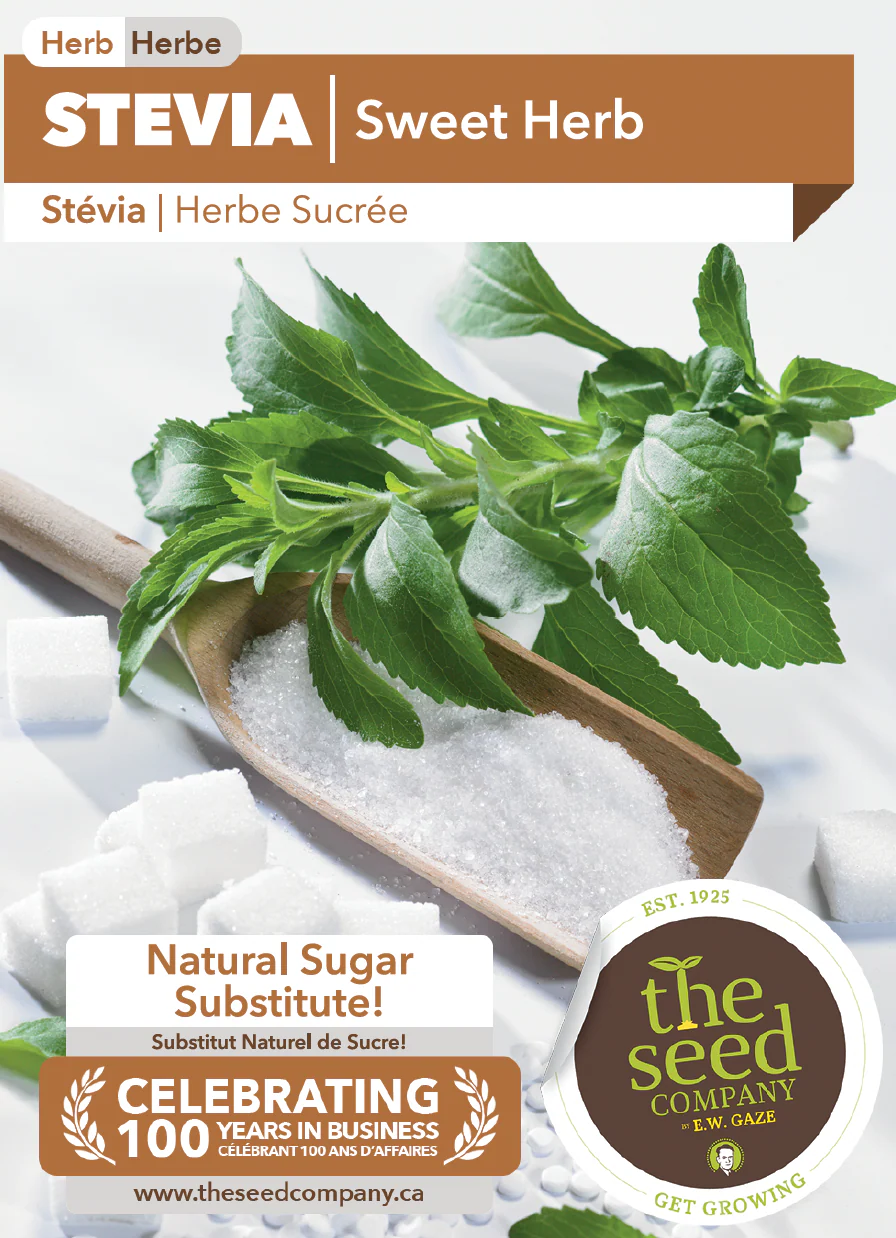 Stevia | Sweet Herb - Image 2
