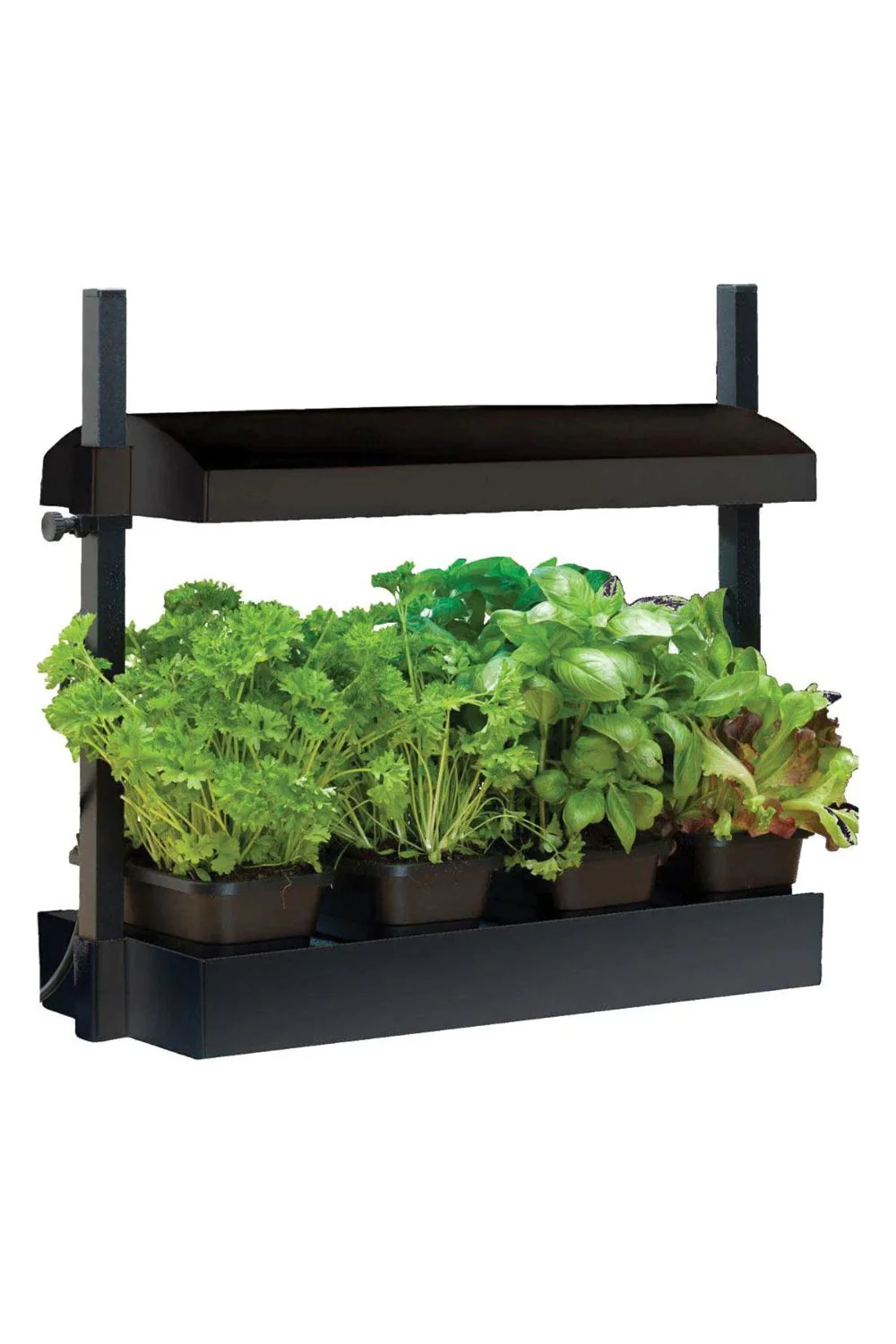 Growlight Garden Micro Black