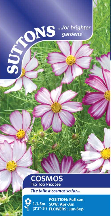 Suttons Seeds - Cosmos 'Tip Top Picotee'