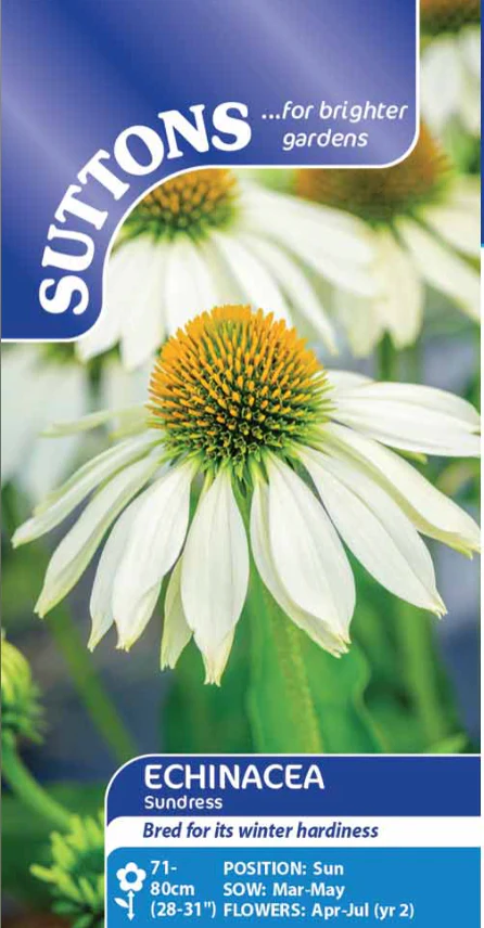 Suttons Seeds - Echinacea Sundress