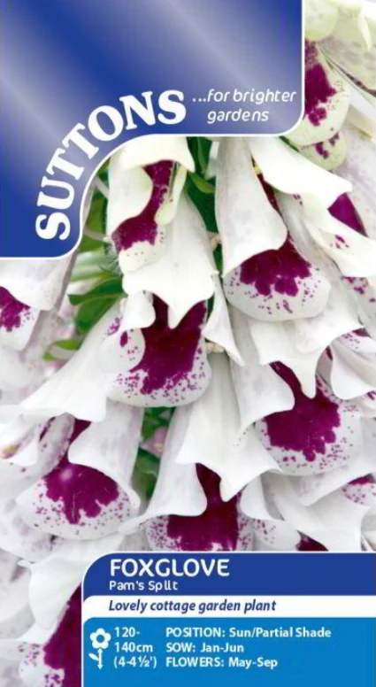 Suttons Seeds - Foxglove Pam's Split