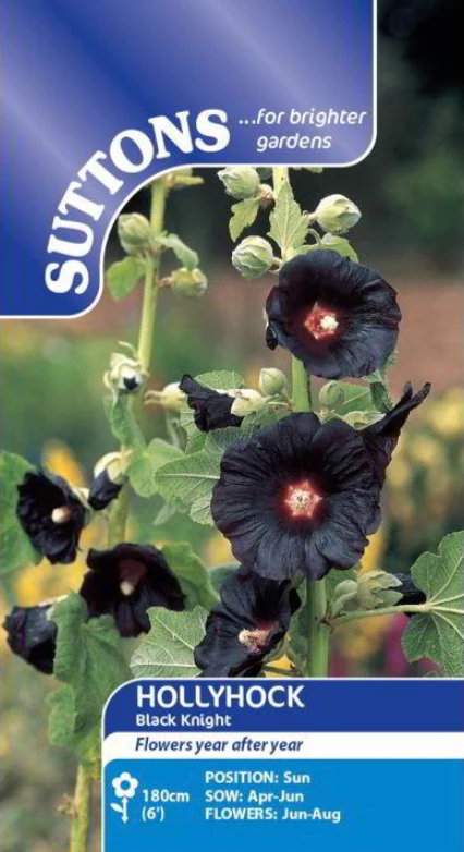 Suttons Seeds - Hollyhock 'Black Knight'