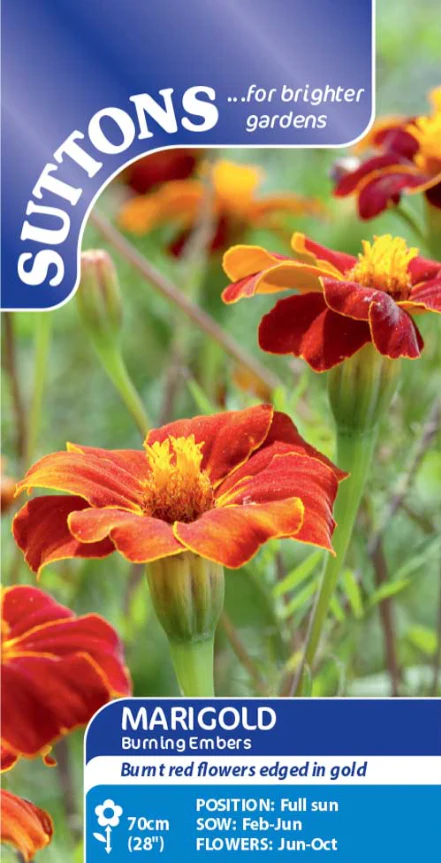 Suttons Seeds - Marigold 'Burning Embers'