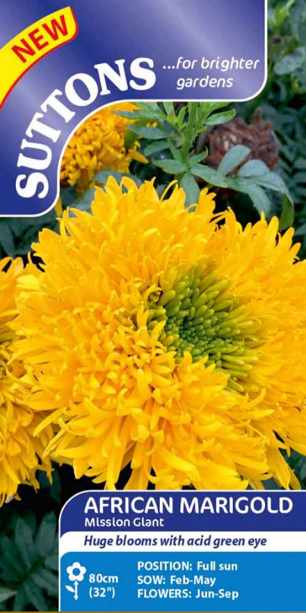 Suttons Seeds - African Marigold 'Mission Giant'