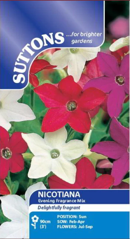 Suttons Seeds - Nicotiana Evening Fragrance Mix