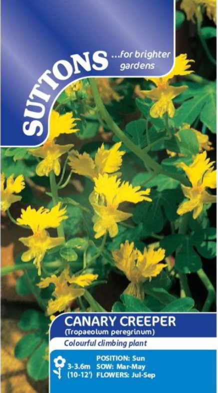 Suttons Seeds - Canary Creeper