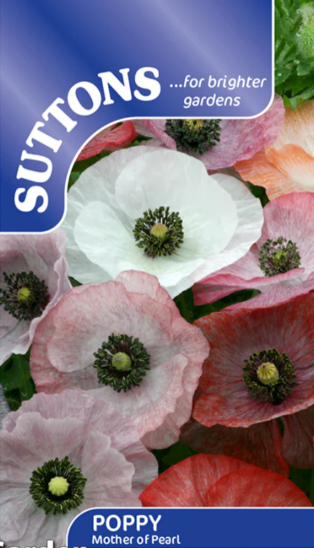 Suttons Seeds - Poppy Mother Of Pearl