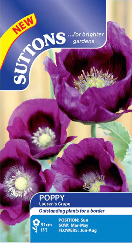 Suttons Seeds - Poppy 'Laurens Grape'