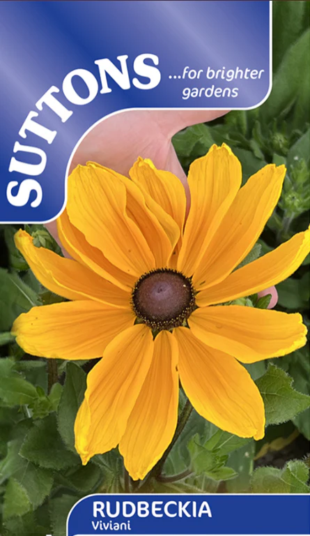 Suttons Seeds - Rudbeckia 'Viviani'