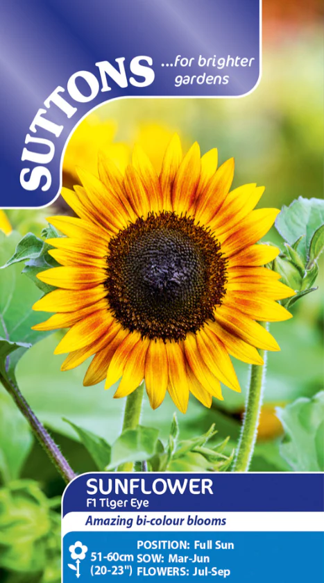 Suttons Seeds - Sunflower 'Tiger Eye' F1