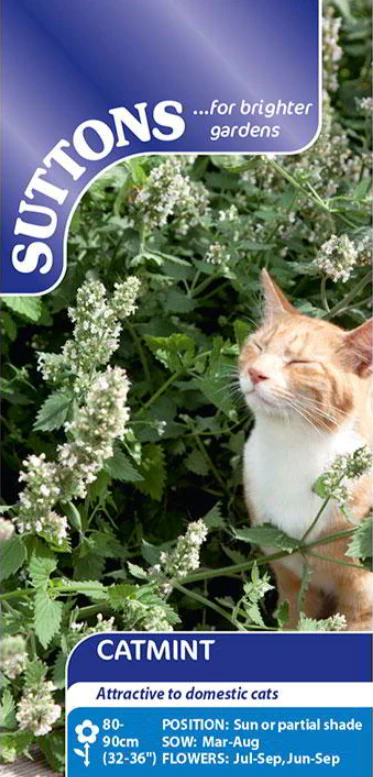 Suttons Seeds - Catmint