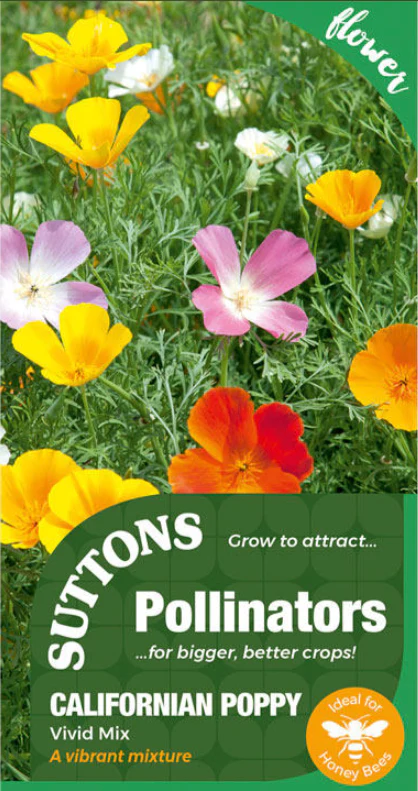 Suttons Seeds - Californian Poppy 'Vivid Mix'