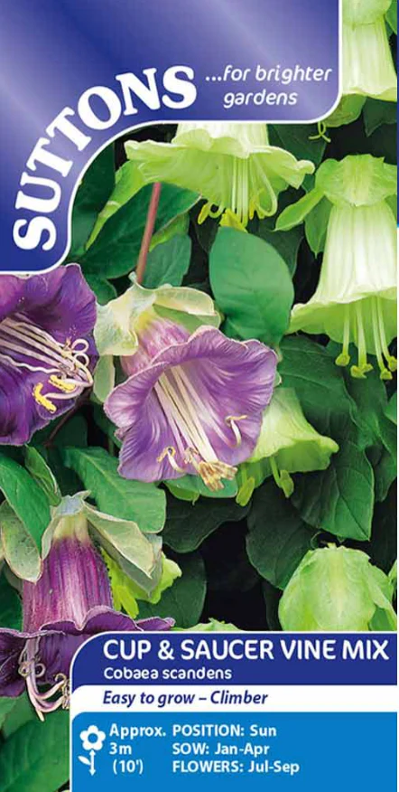 Suttons Seeds - Cup and Saucer Vine Mix Cobaea Scandens