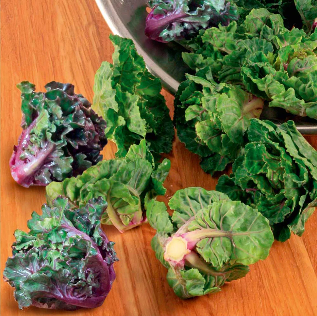 Suttons Seeds - Brussels Sprouts Flower Sprout