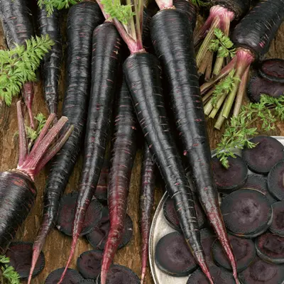 Suttons Seeds - Carrot 'Black Nebula'