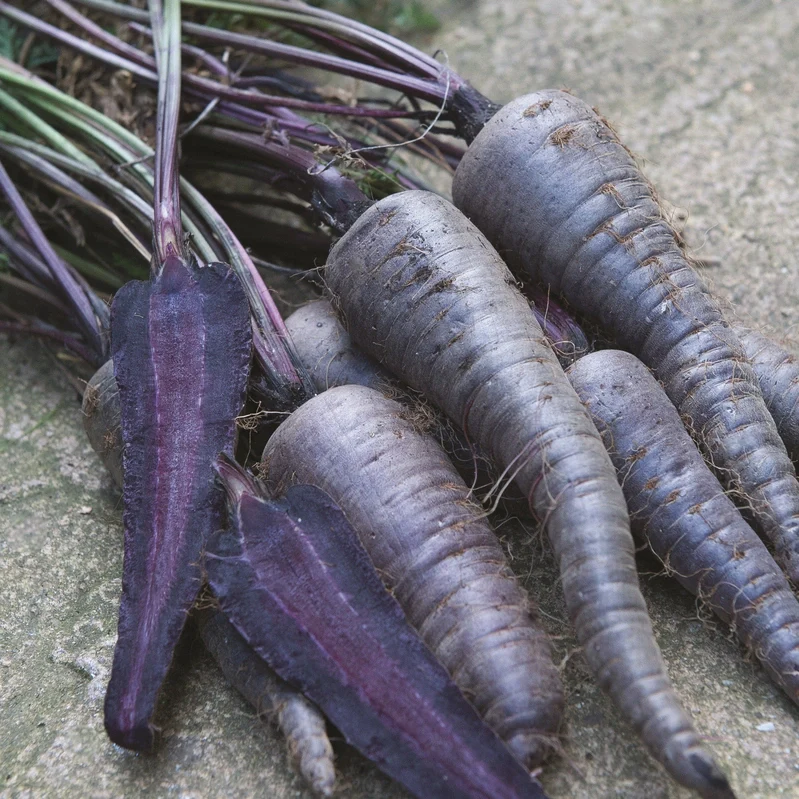 Suttons Seeds - Carrot F1 'Purple Sun'