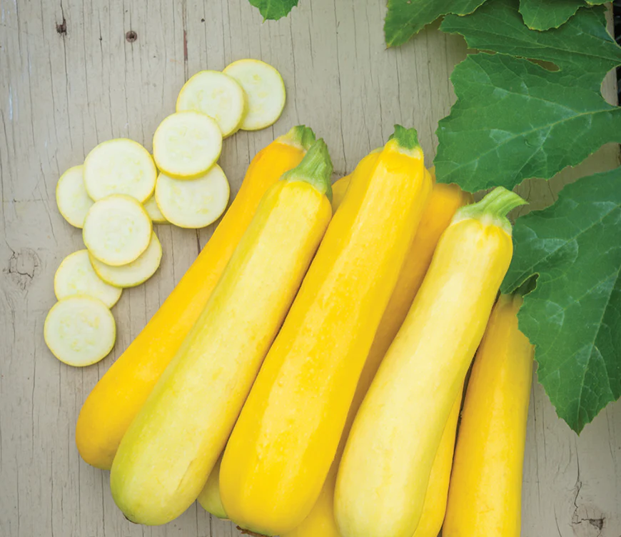 Suttons Seeds - Courgette Butterstick F1 Hybrid
