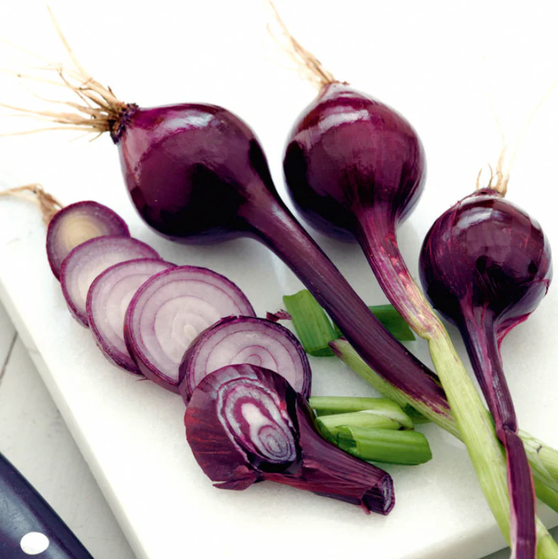 Suttons Seeds - Salad Onion Purplette