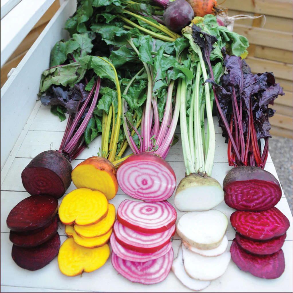 Suttons Seeds - Beetroot Rainbow Mix