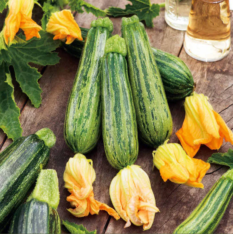 Suttons Seeds - Courgette 'Courcourzelle'