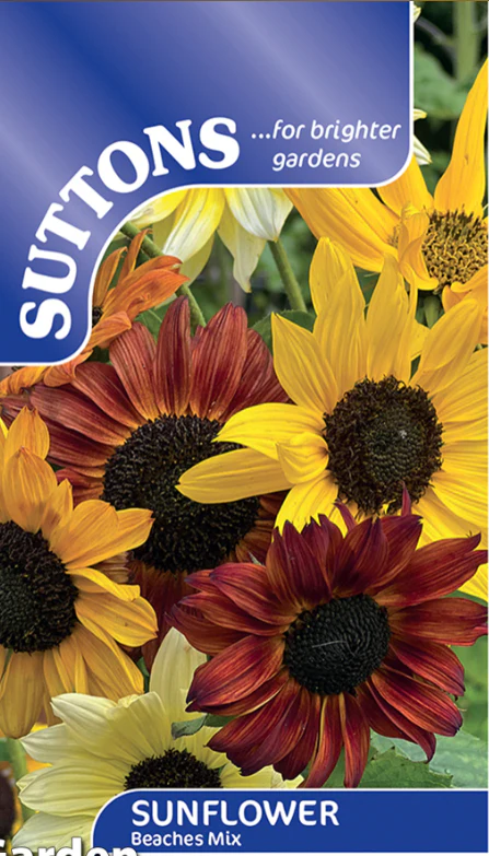 Suttons Seeds - Sunflower 'Beaches Mix’