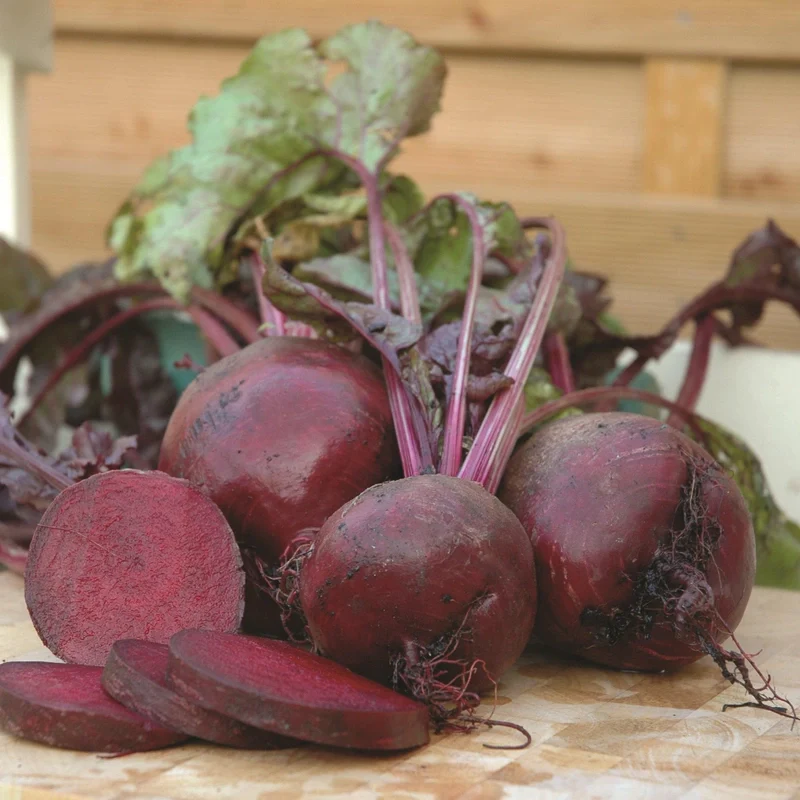 Suttons Seed - Beetroot "Boltardy"