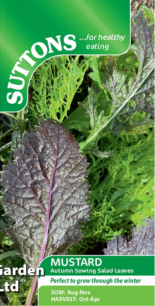 Suttons Seeds - Mustard Autumn Sowing Salad Leaves