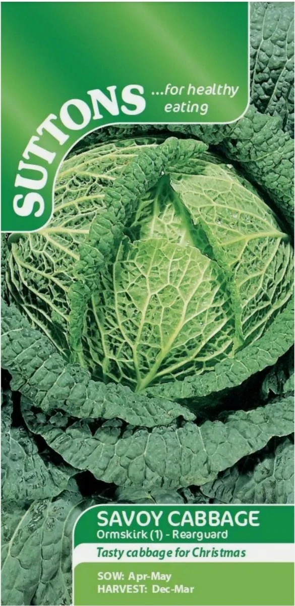 Suttons Seeds - Savoy Cabbage Ormskirk (1) - Rearguard