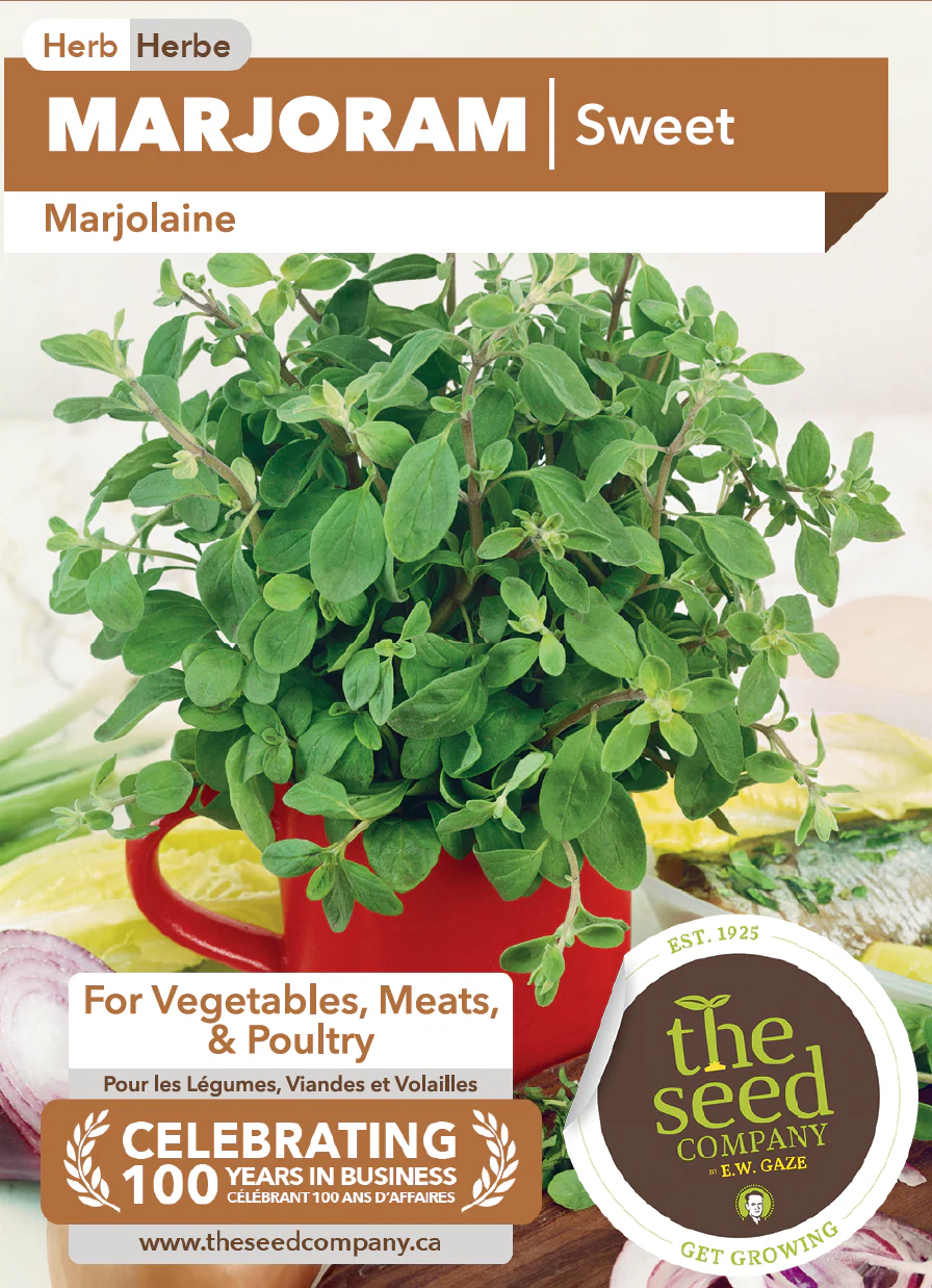 Marjoram | Sweet - Image 2