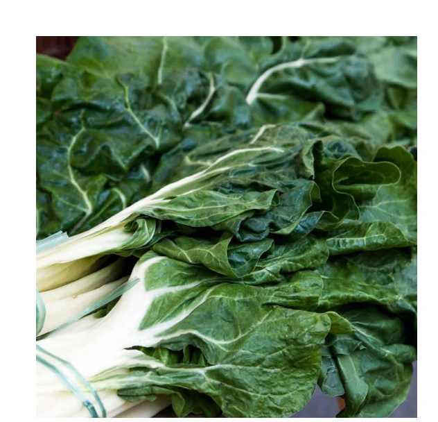 Swiss Chard | Fordhook Giant ORGANIC