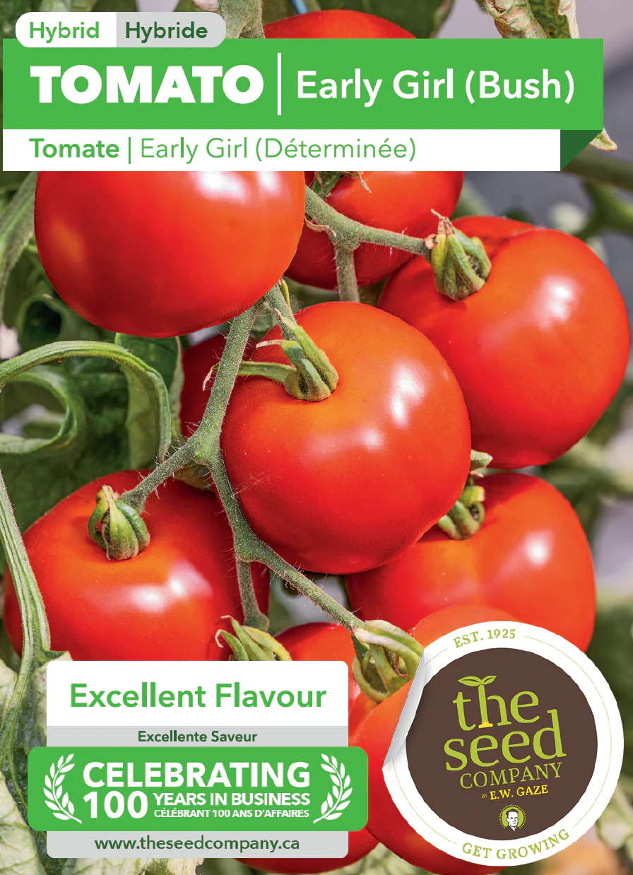 Tomato | Early Girl (Bush) - Image 2