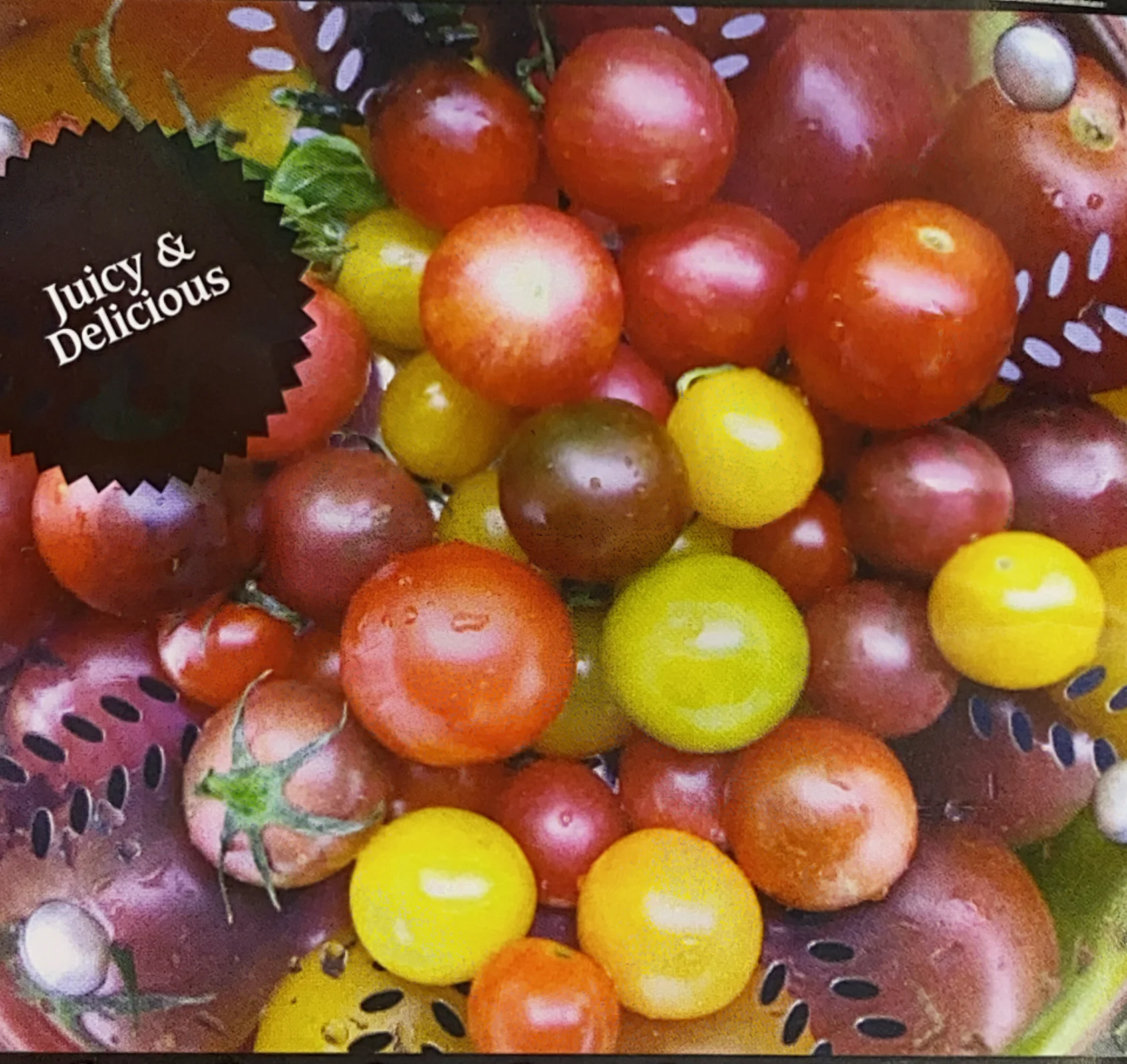 Tomato | Rainbow Cherry Mix (Vine) - Image 3