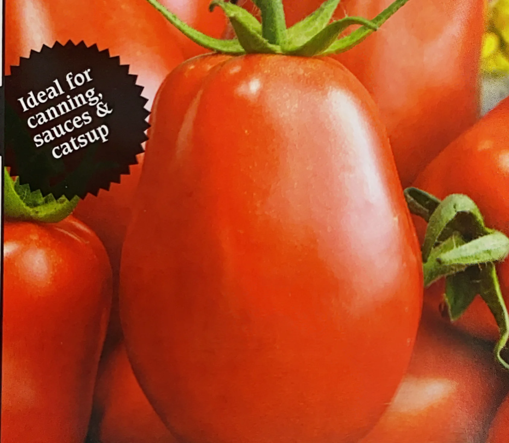 Tomato | Roma (Bush) - Image 3