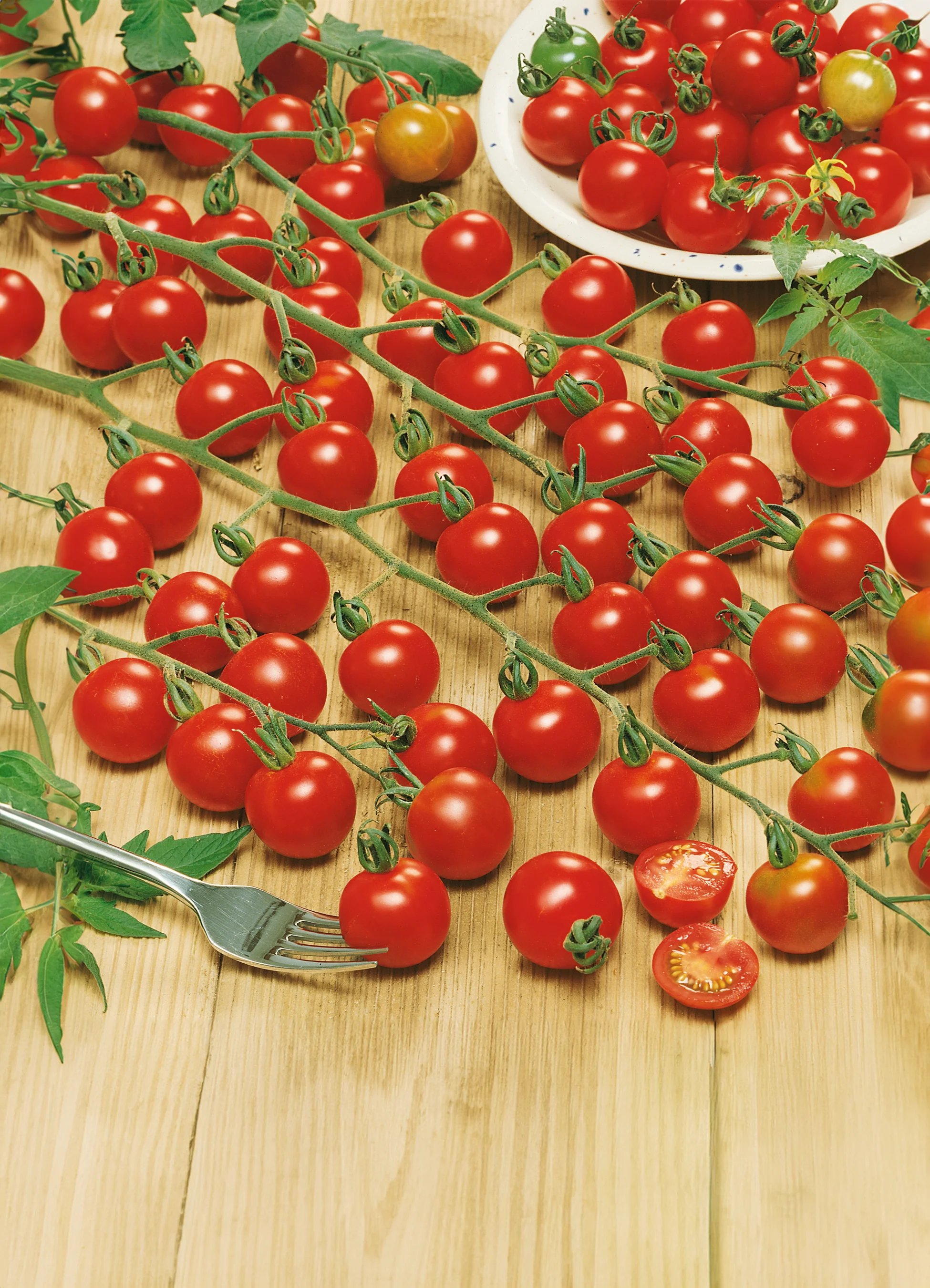 Tomato | Supersweet 100 (Vine)