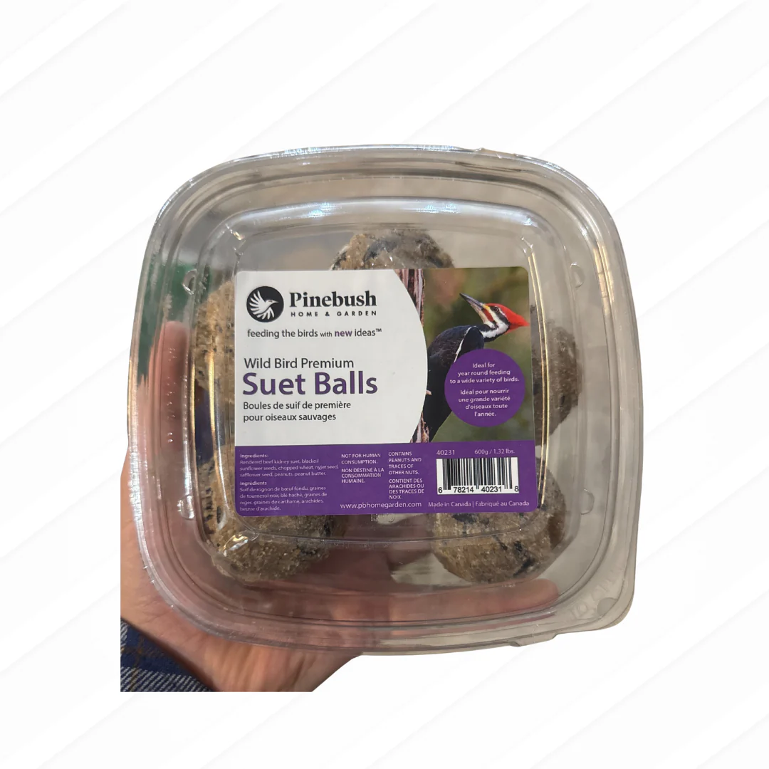 Wild Bird Premium Suet Balls 6 Pack