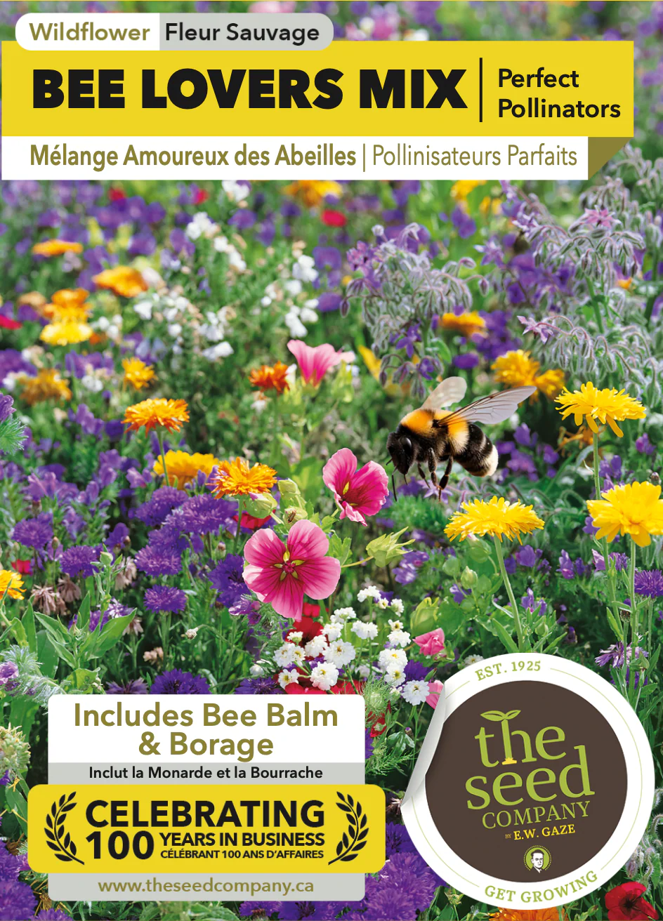 Bee Lovers Mix | Perfect Pollinators - Image 2